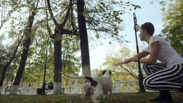 Junge Frau trainiert schwarz-weiße Hundestaffel im Park. — Stockvideo
