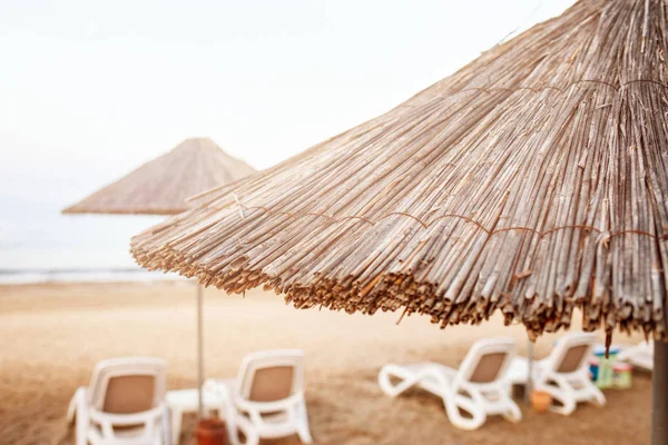 Sea sandy beach with many deck chairs. — Stock Photo, Image