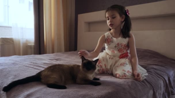 Holčička v šatech pohladila kočku a seděla na posteli. — Stock video