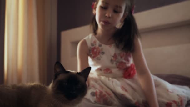Klein meisje in jurk strelen kat zittend op het bed. — Stockvideo