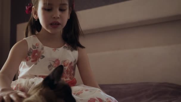 Liten flicka i klänning smekande katt sitter på sängen. — Stockvideo