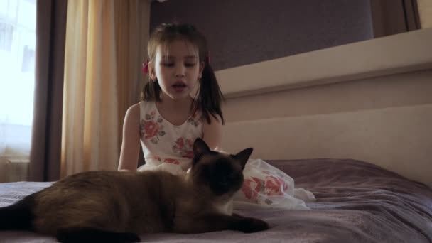 Niña en vestido acariciando gato sentado en la cama . — Vídeo de stock