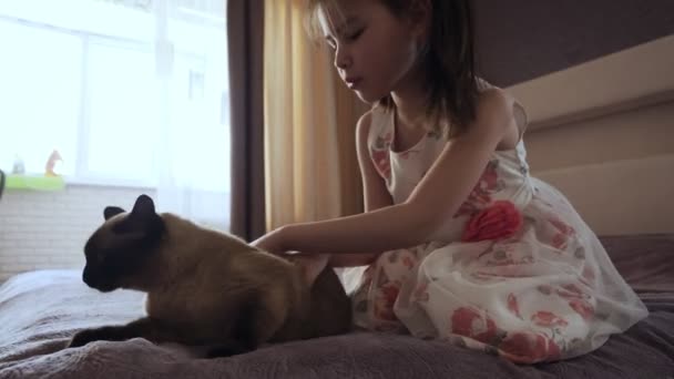 Little girl in dress stroking cat sitting on the bed. — Stock Video