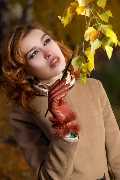 Bella donna con tavolozza e pennello dipinge foglie colori sugli alberi — Foto Stock