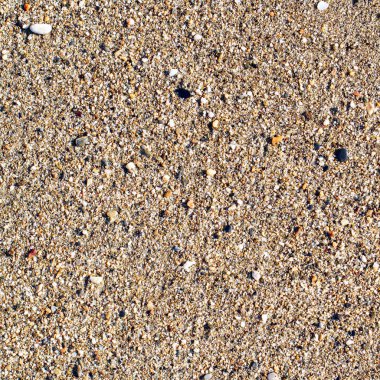 Deniz kenarı, doğal yüzeyin temiz kum dokusu üst görünümü.