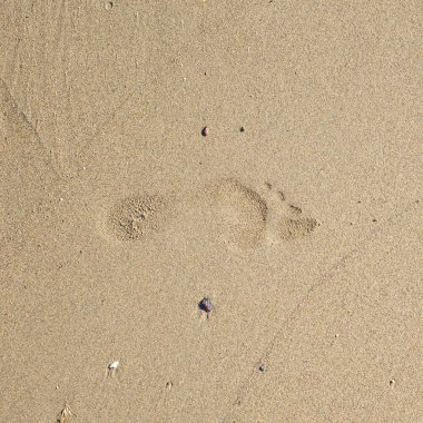 Deniz kenarı, doğal yüzeyin temiz kum dokusu üst görünümü.