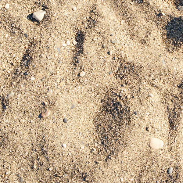 Areia de praia e trilhas arenosas no sol de verão . — Fotografia de Stock