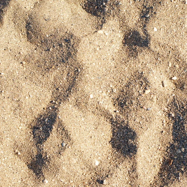 Spiaggia di sabbia e sentieri sabbiosi sotto il sole estivo . — Foto Stock