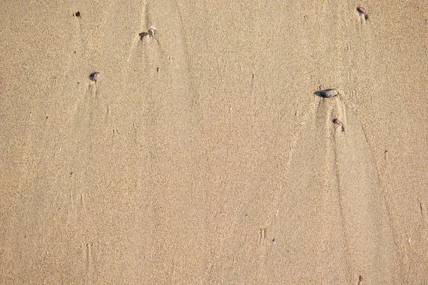 Vista superior da costa, textura de areia limpa da superfície natural . — Fotografia de Stock