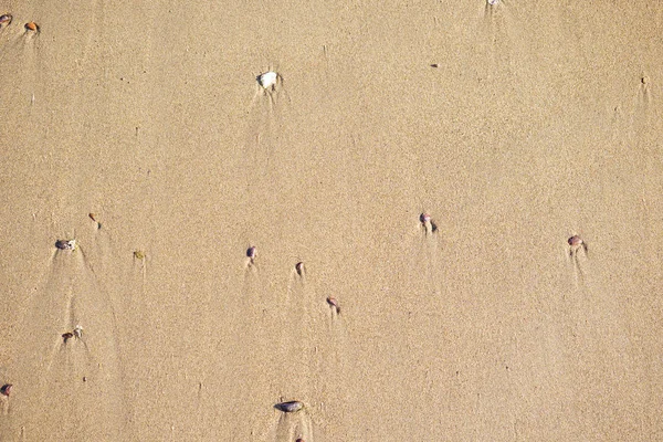 Bovenaanzicht van de kust, schone zand textuur van natuurlijk oppervlak. — Stockfoto