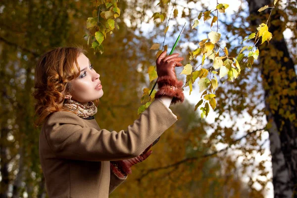Красивая женщина с палитрой и кистью окрашивает листья на деревьях — стоковое фото
