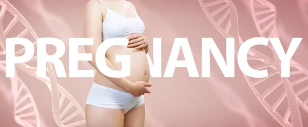 Gravid kvinna smeka magen bland DNA stjälkar och stora ord graviditet. — Stockfoto