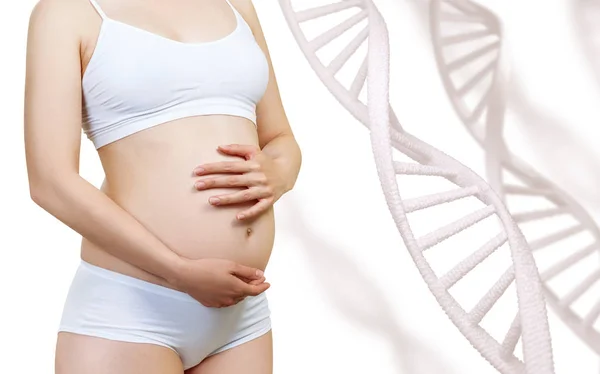 Pregnant woman caress belly among DNA stems. — Stock Photo, Image