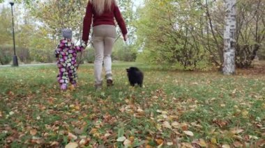 Küçük kız yürür ve sonbahar parkta spitz köpek ile oynar.