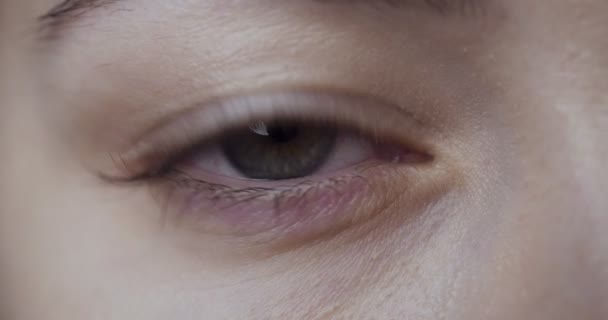 女性の緑色の目のクローズアップビュー. — ストック動画