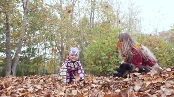 Annesi ve küçük bebeği sonbahar parkında düşen yapraklarla oynuyorlar.. — Stok video