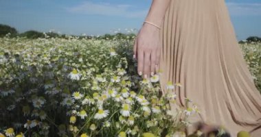 Kız papatya tarlasında yürüyor.