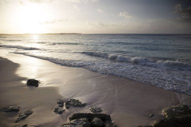 Yaz Barbados adasında. Egzotik tatil. Turkuaz su. Güneşli mavi gökyüzü. Güzel beyaz kum plaj.