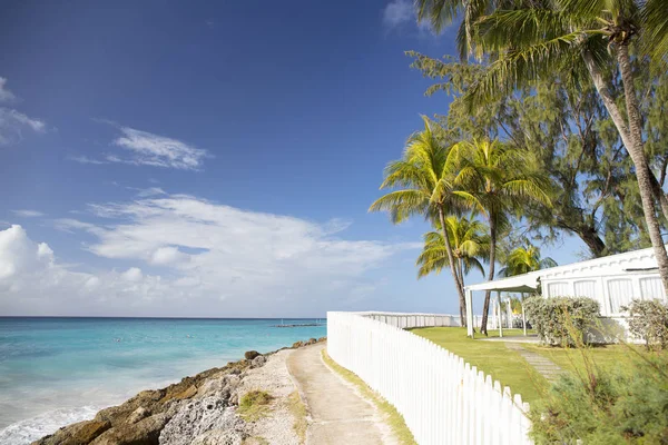 Lato Wyspie Barbados Egzotyczne Wakacje Palmy Turkusowa Woda Słoneczne Błękitne — Zdjęcie stockowe