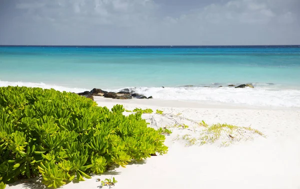 Sommer Auf Barbados Exotische Ferien Türkisfarbenes Wasser Sonniger Blauer Himmel — Stockfoto