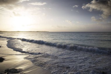 Yaz Barbados adasında. Egzotik tatil. Turkuaz su. Güneşli mavi gökyüzü. Güzel beyaz kum plaj.