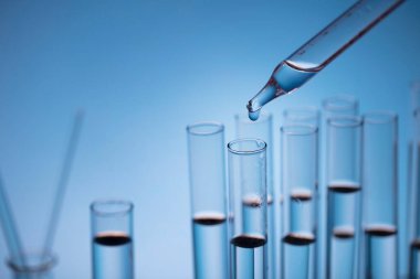 Coronavirus salgını teması. Hızlı covid testleri ve anti-covid aşısıyla ilgili bilimsel araştırma. Mavi arka planda deney tüpleri ve deney tüpleri.