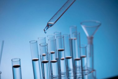 Coronavirus salgını teması. Hızlı covid testleri ve anti-covid aşısıyla ilgili bilimsel araştırma. Mavi arka planda deney tüpleri ve deney tüpleri.