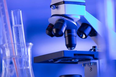 Coronavirus salgını teması. Hızlı covid testleri ve anti-covid aşısıyla ilgili bilimsel araştırma. Mavi arka planda deney tüpleri, mikroskop ve test tüpleri..