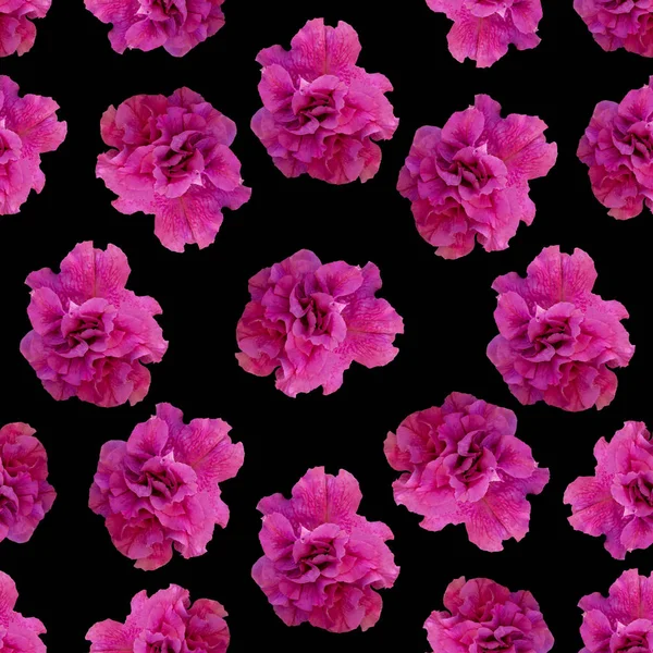 A seamless pattern consists of beautiful, vibrant flowers. for printed, textile and other products.