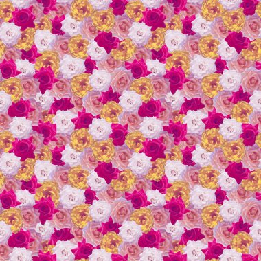 Doğal gül seamless katı modeli. Parlak renk doymuş. yanında bir boşluk yalan. Yazdırma için kağıt ve kumaş.