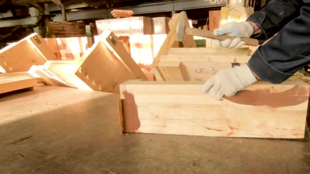 Trabajador Martillando Clavo Con Martillo Una Tabla Producción Las Manos — Vídeos de Stock