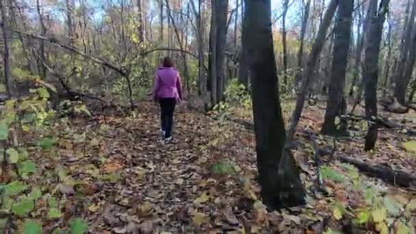 Una Joven Camina Por Bosque Cámara Despega Desde Atrás Hojas — Vídeos de Stock