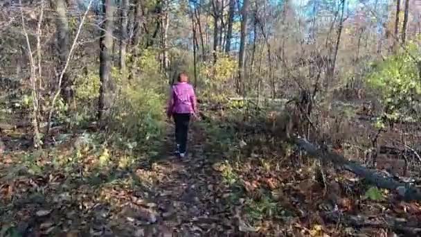 若い女性は 森の中を歩きます カメラは 背面から休みを取る 黄色い紅葉します — ストック動画