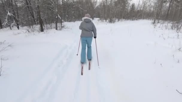 Дівчина Катається Лижах Пересіченій Місцевості Зимовому Лісі Чистий Білий Сніг — стокове відео