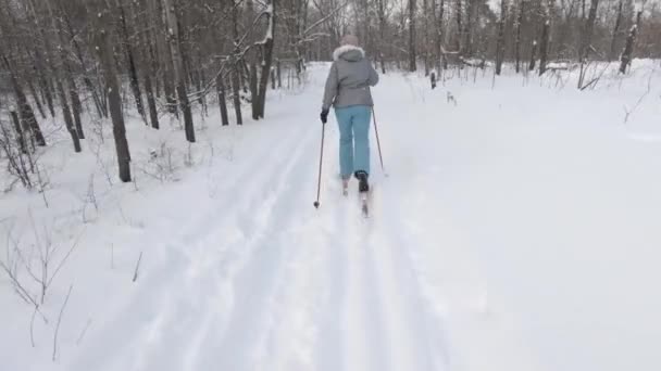 Menina Monta Esqui Cross Country Floresta Inverno Neve Branca Pura — Vídeo de Stock