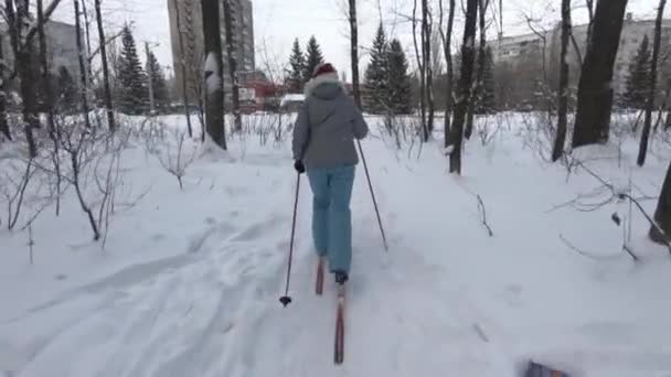 Девушка Катается Лыжах Зимнему Лесу Чистый Белый Снег — стоковое видео