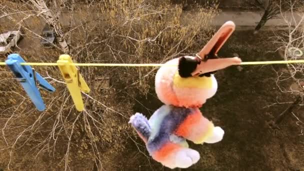 Anjing Mainan Lembut Hang Pada Tali Jemuran Dan Kering Tinggi — Stok Video
