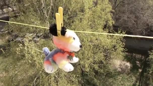 Câinele Jucărie Moale Atârnă Linie Îmbrăcăminte Usucă Sus Balcon Opusul — Videoclip de stoc