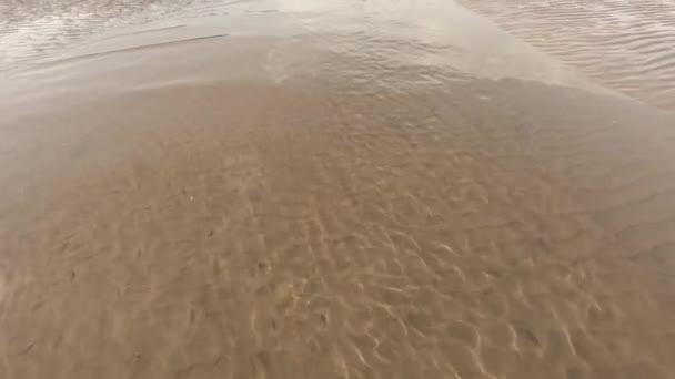 Strand Een Zomerdag Nat Geribbeld Zand Glinstert Zon Helder Water — Stockvideo