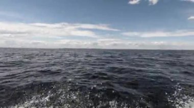 Denizde tekneyle hareket. Bir taraftan ateş ediyorlar. Uzak ufku, temiz havayı, dalgaları, akan suyu görebilirsiniz. Mesaj için yer var. Atmosferik video.