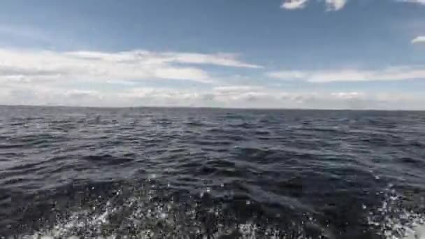 Movimiento Barco Sobre Mar Disparando Desde Lado Puede Ver Horizonte — Vídeo de stock