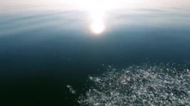 Akşam günbatımı ve parlak bir yansıma, sakin deniz ve pürüzsüz su, pus ufukta, tekne hareketinden sprey. Metin alanı. Atmosferik video.