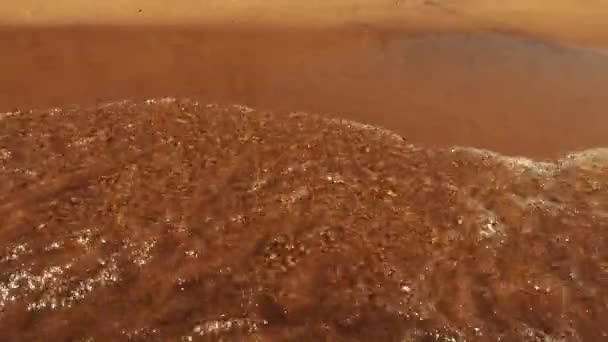 Αγνή Κίτρινη Άμμος Και Μικρά Κύματα Ακτογραμμή Της Παραλίας Ηρεμία — Αρχείο Βίντεο