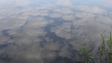 Sakin, berrak su yavaş hareket eder. Yüksek bulutlar yansıtılır. Sağ köşede küçük bir sazlık var. Doğanın sakinliği ve sessizliği.