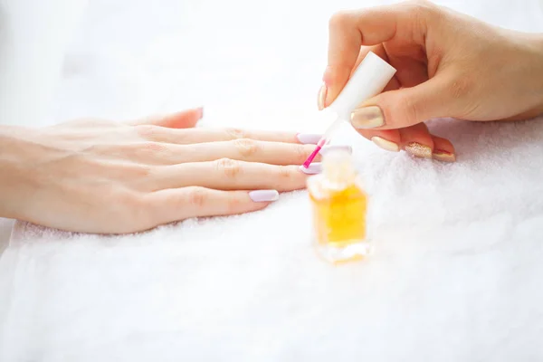Beauty and Care. Manicure Master Applying Nail Polish in Beauty Salon. Beautiful Women\'s Hands with Perfect Manicure. Spa Manicure.