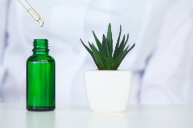 Doğal organik çıkarma ve yeşil bitkisel karıştırma bilim adamı yaprak, çiçek aroması özü çözüm laboratuvar.