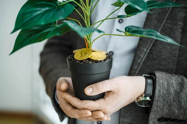 Man holding, house plant with coins of bitcoin on the ground