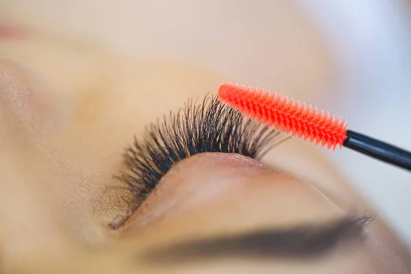 Kadın Gözü Ile Uzun Kirpiklerini Rimel Fırçası Yüksek Kaliteli Görüntü — Stok fotoğraf