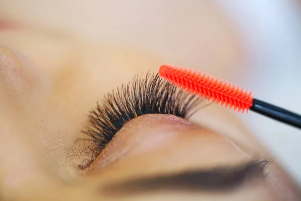 Kadın Gözü Ile Uzun Kirpiklerini Rimel Fırçası Yüksek Kaliteli Görüntü — Stok fotoğraf