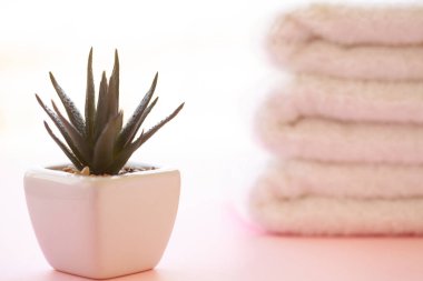 Spa. Beyaz vücut havlu pembe silindir. Havlu kavramı. Otel ve masaj salonları için fotoğraf. Saflık ve yumuşaklık. Havlu Tekstil.